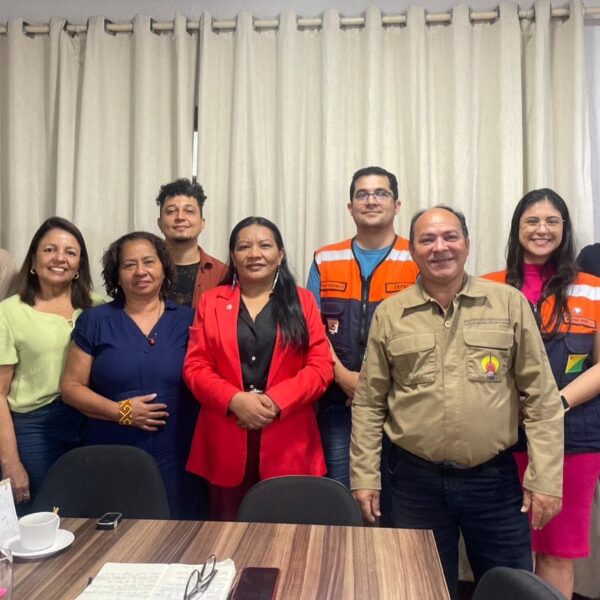 Sepi reúne instituições para fortalecer plano de contingência voltado aos povos indígenas
